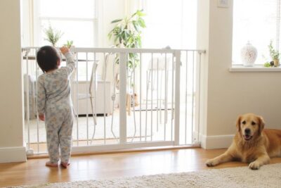pet and baby safety gates