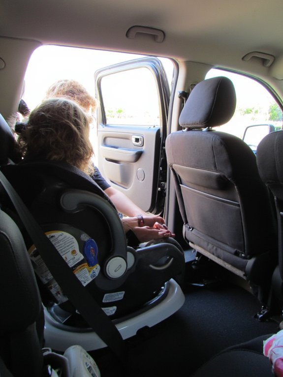 secure lock check harness