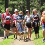 7 Best Baby Carriers for Active Parents