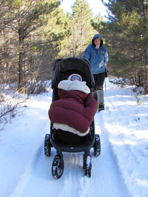 Best Strollers for Winter Weather Adventures. Strollers